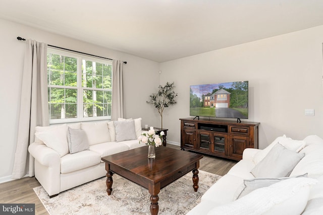 610 Long Meadow Dr, Fredericksburg, VA 22406 - living area with light wood finished floors and baseboards