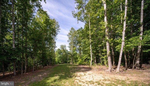 610 Long Meadow Dr, Fredericksburg, VA 22406 - view of woods