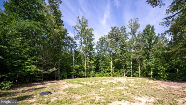 610 Long Meadow Dr, Fredericksburg, VA 22406 - view of wooded area