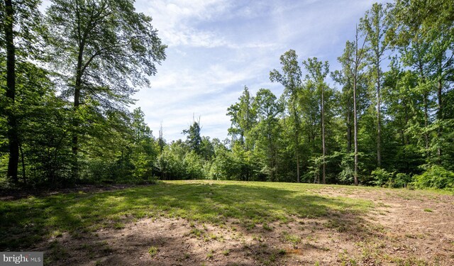 610 Long Meadow Dr, Fredericksburg, VA 22406 - view of yard with a forest view