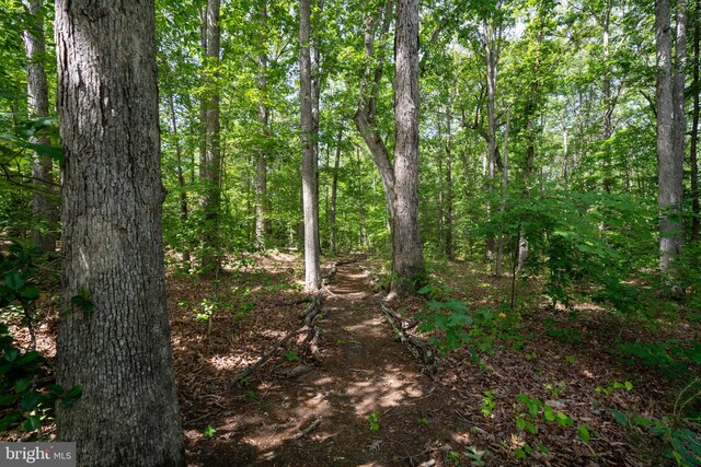 610 Long Meadow Dr, Fredericksburg, VA 22406 - view of tree filled area