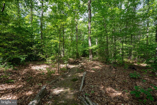 610 Long Meadow Dr, Fredericksburg, VA 22406 - view of tree filled area