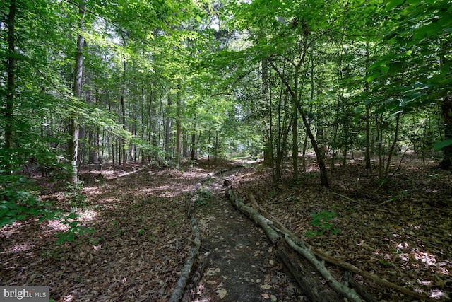 610 Long Meadow Dr, Fredericksburg, VA 22406 - view of tree filled area