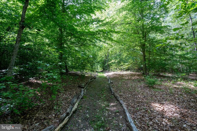610 Long Meadow Dr, Fredericksburg, VA 22406 - view of woods