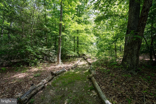 610 Long Meadow Dr, Fredericksburg, VA 22406 - view of woods