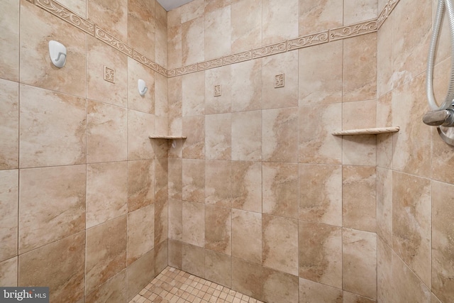295 Chesapeake Ave, Prince Frederick, MD 20678 - bathroom view of a tile shower