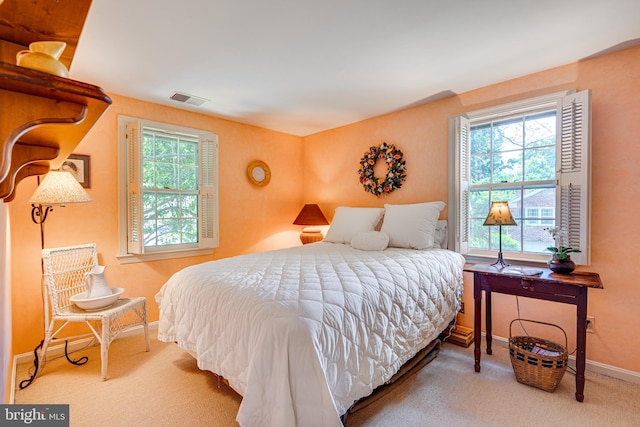 18919 Diary Rd, Montgomery Village, MD 20886 - bedroom with multiple windows, carpet flooring, and baseboards