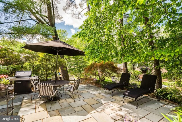 18919 Diary Rd, Montgomery Village, MD 20886 - view of patio with outdoor dining space and grilling area