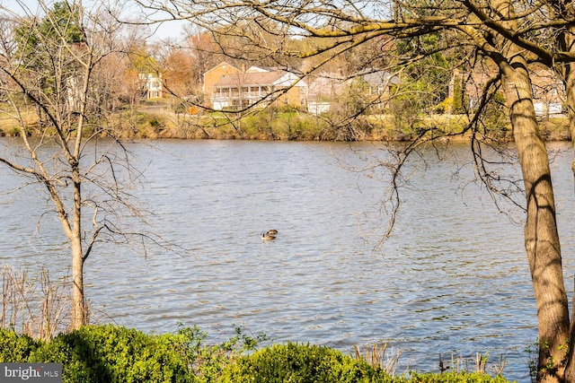 18919 Diary Rd, Montgomery Village, MD 20886 - water view