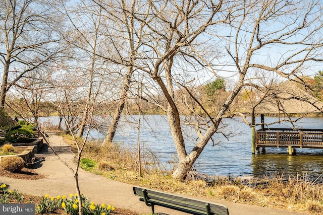 18919 Diary Rd, Montgomery Village, MD 20886 - water view