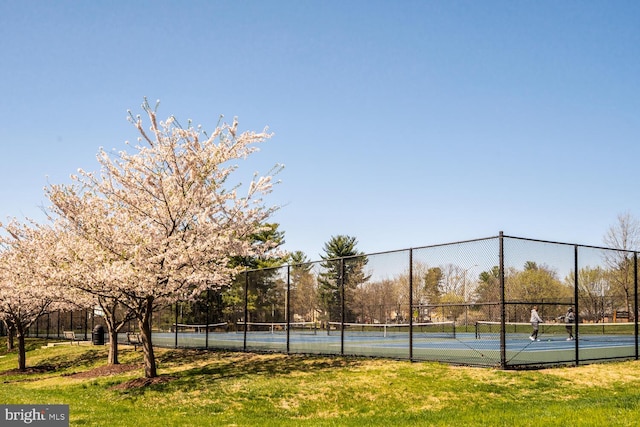 18919 Diary Rd, Montgomery Village, MD 20886 - view of tennis court
