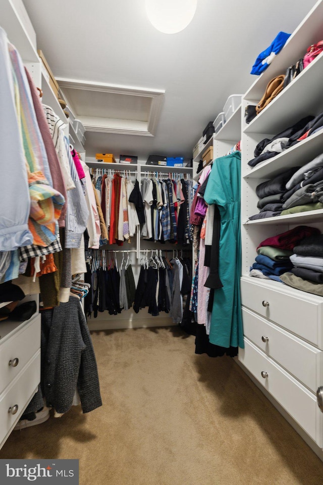 13016 Brookmead Dr, Manassas, VA 20112 - walk in closet with attic access and carpet flooring