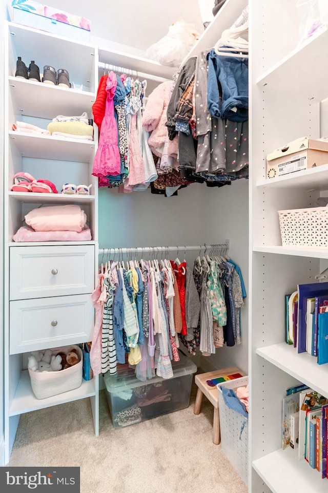13016 Brookmead Dr, Manassas, VA 20112 - spacious closet with carpet