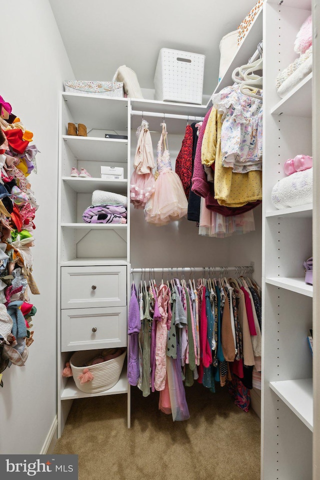 13016 Brookmead Dr, Manassas, VA 20112 - walk in closet featuring carpet floors