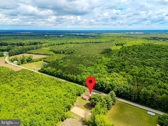 14298 S Union Church Rd, Ellendale, DE 19941 - bird's eye view of a forest