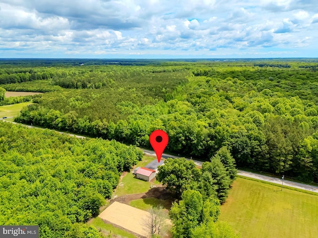 14298 S Union Church Rd, Ellendale, DE 19941 - aerial view of a forest