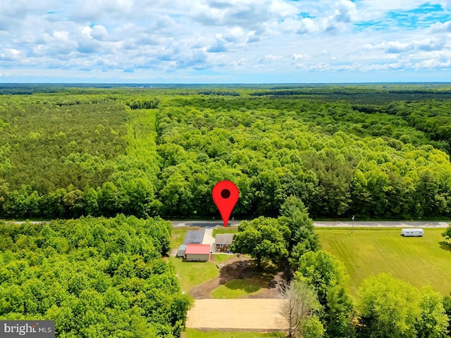 14298 S Union Church Rd, Ellendale, DE 19941 - drone / aerial view of a heavily wooded area