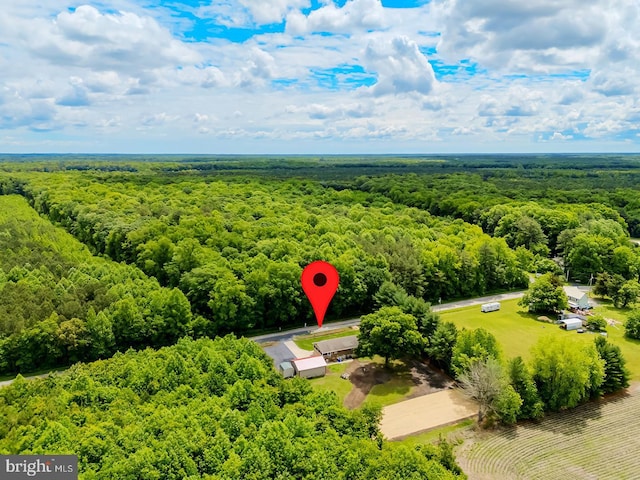 14298 S Union Church Rd, Ellendale, DE 19941 - bird's eye view of a forest