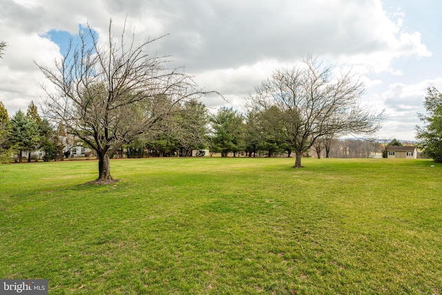 290 S Windy Mansion Rd, Denver, PA 17517 - view of green lawn