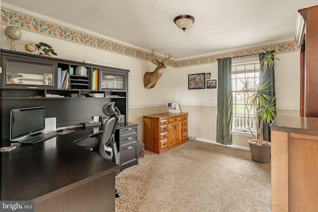 290 S Windy Mansion Rd, Denver, PA 17517 - office space with light colored carpet, crown molding, and baseboards