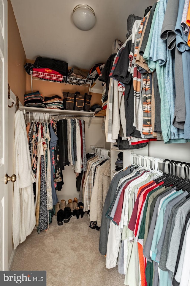 290 S Windy Mansion Rd, Denver, PA 17517 - walk in closet with carpet