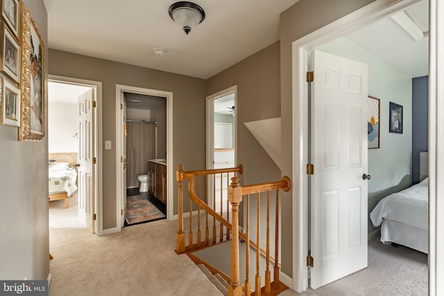 290 S Windy Mansion Rd, Denver, PA 17517 - corridor with an upstairs landing, carpet, and baseboards