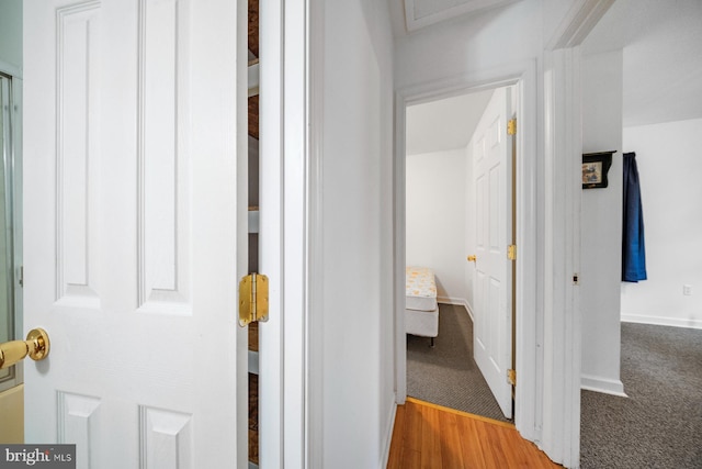 1211 Mcglaughlin Rd, Fishing Creek, MD 21634 - hall featuring carpet flooring and baseboards