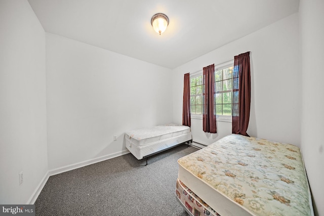 1211 Mcglaughlin Rd, Fishing Creek, MD 21634 - bedroom with carpet, baseboards, and baseboard heating