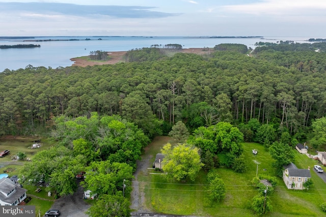 1211 Mcglaughlin Rd, Fishing Creek, MD 21634 - bird's eye view of a large body of water and a heavily wooded area