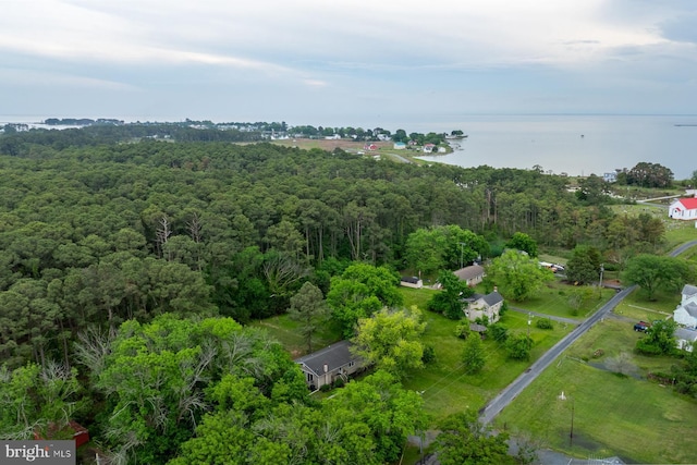 1211 Mcglaughlin Rd, Fishing Creek, MD 21634 - aerial view of property and surrounding area with a forest and a large body of water