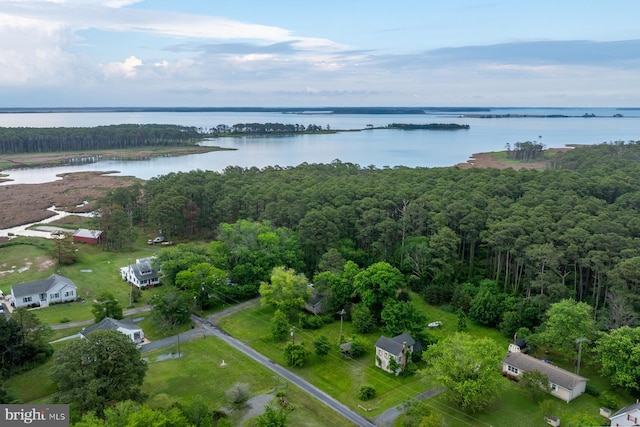 1211 Mcglaughlin Rd, Fishing Creek, MD 21634 - aerial view of property's location with a nearby body of water and a forest