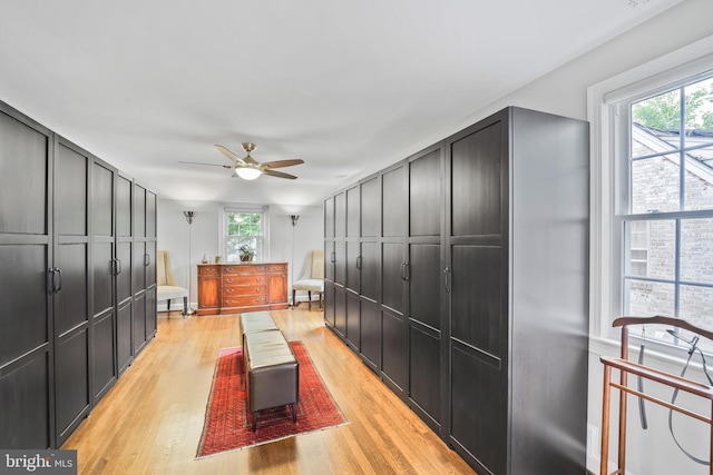 4831 Alton Pl NW, Washington, DC 20016 - bedroom featuring light wood-type flooring, multiple windows, and a ceiling fan