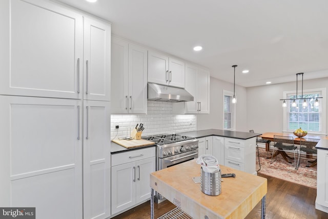 4831 Alton Pl NW, Washington, DC 20016 - kitchen with high end range, under cabinet range hood, plenty of natural light, dark wood-style floors, and recessed lighting