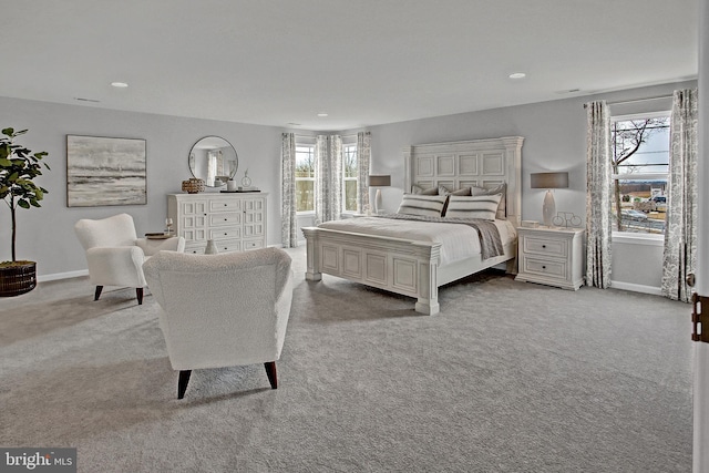 128 Fred Dr, North East, MD 21901 - bedroom with carpet floors, baseboards, and recessed lighting