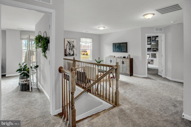 128 Fred Dr, North East, MD 21901 - hall featuring an upstairs landing, carpet, and baseboards