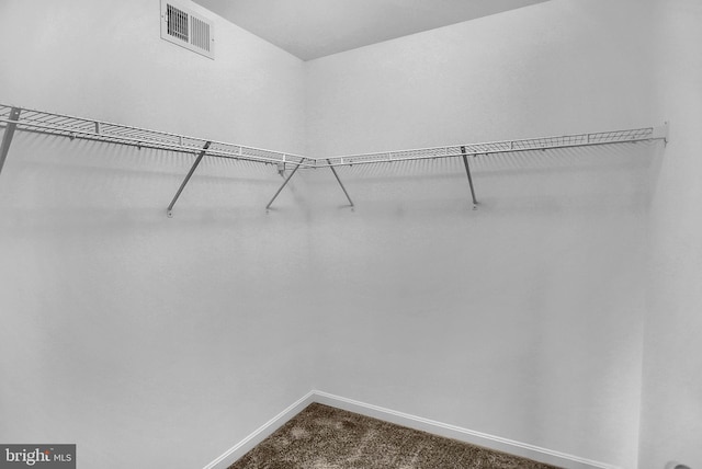 128 Fred Dr, North East, MD 21901 - spacious closet featuring dark colored carpet