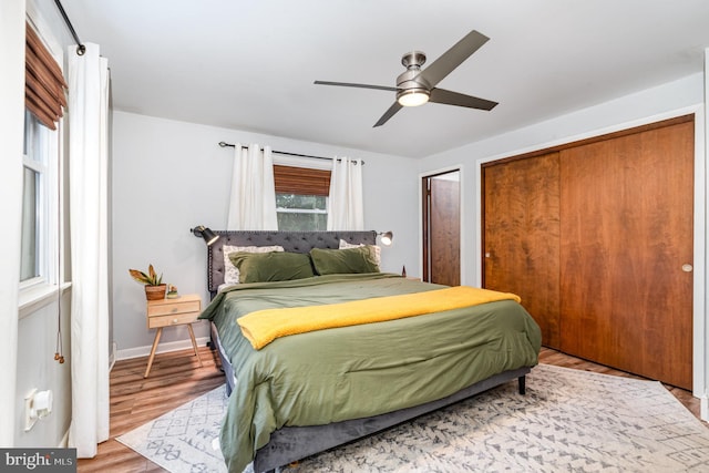 bedroom featuring wood finished floors, a ceiling fan, and multiple closets