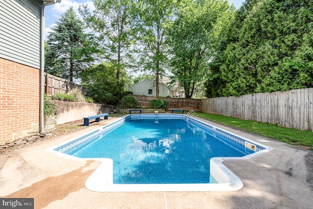 view of swimming pool with a fenced backyard