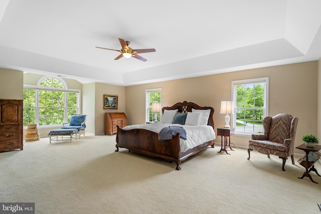 21381 Chickacoan Trail Dr, Broadlands, VA 20148 - bedroom featuring a raised ceiling, light carpet, and multiple windows