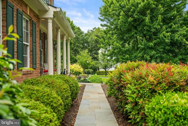 21381 Chickacoan Trail Dr, Broadlands, VA 20148 - view of yard
