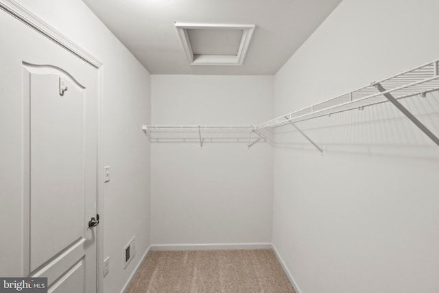121 Stribling Way, Winchester, VA 22602 - walk in closet with light carpet and attic access