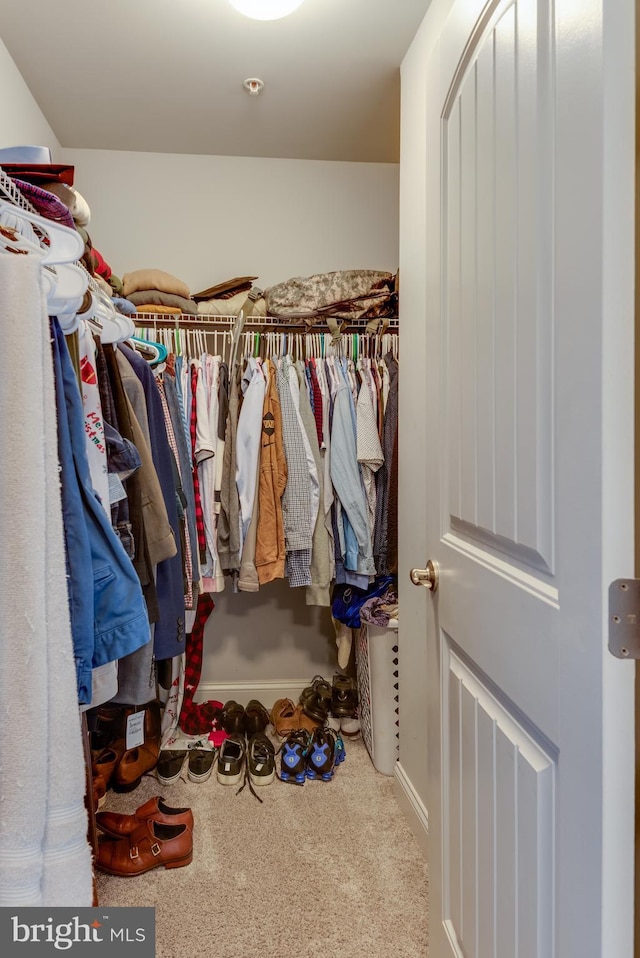 3565 Sauvignon Ln, Chesapeake Beach, MD 20732 - walk in closet with carpet flooring