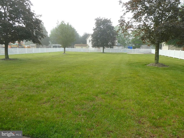 2358 Atco Ave, Atco, NJ 08004 - view of yard