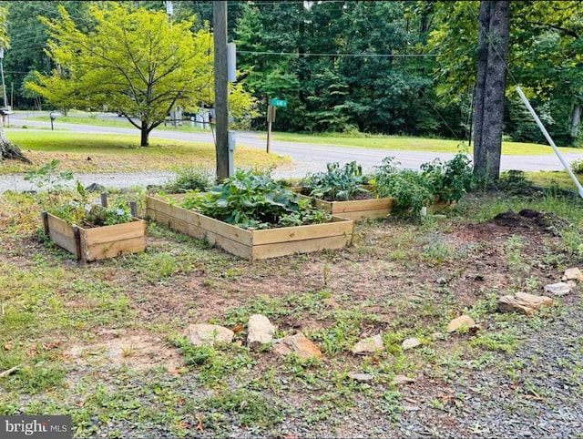 608 Tacketts Mill Rd, Stafford, VA 22556 - view of yard featuring a garden