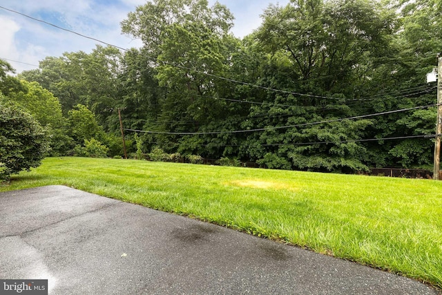 522 Goucher Blvd, Baltimore, MD 21286 - view of green lawn with a patio and a forest view