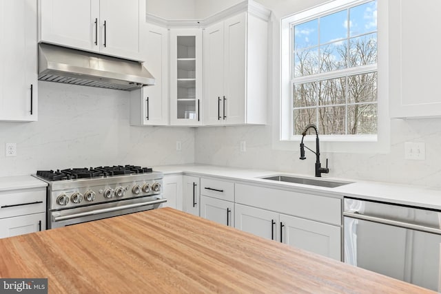kitchen featuring under cabinet range hood, stainless steel appliances, a sink, light countertops, and tasteful backsplash