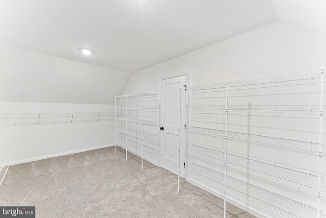 walk in closet featuring lofted ceiling and carpet