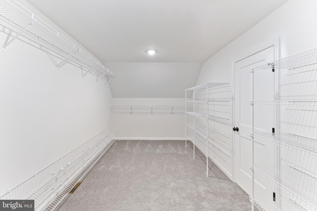 walk in closet with carpet floors and lofted ceiling