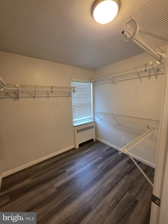 616 Sylvan Pl, Harrisburg, PA 17109 - spacious closet featuring radiator heating unit and dark wood-style floors