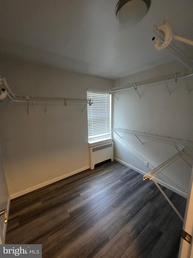 616 Sylvan Pl, Harrisburg, PA 17109 - spacious closet with radiator and wood finished floors